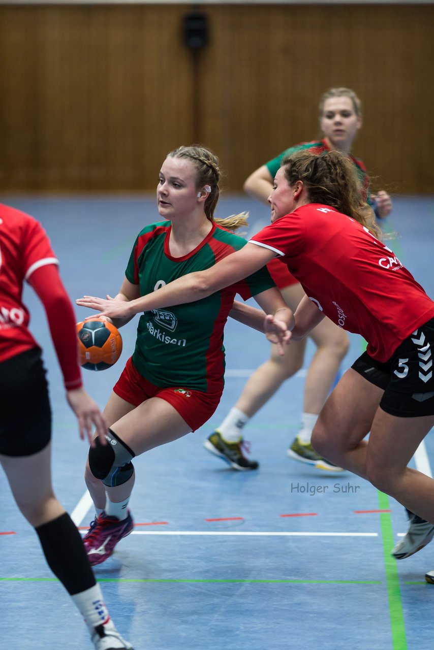 Bild 45 - Frauen HSG Krem/Muensterdorf - HG OKT 3 : Ergebnis: 33:21